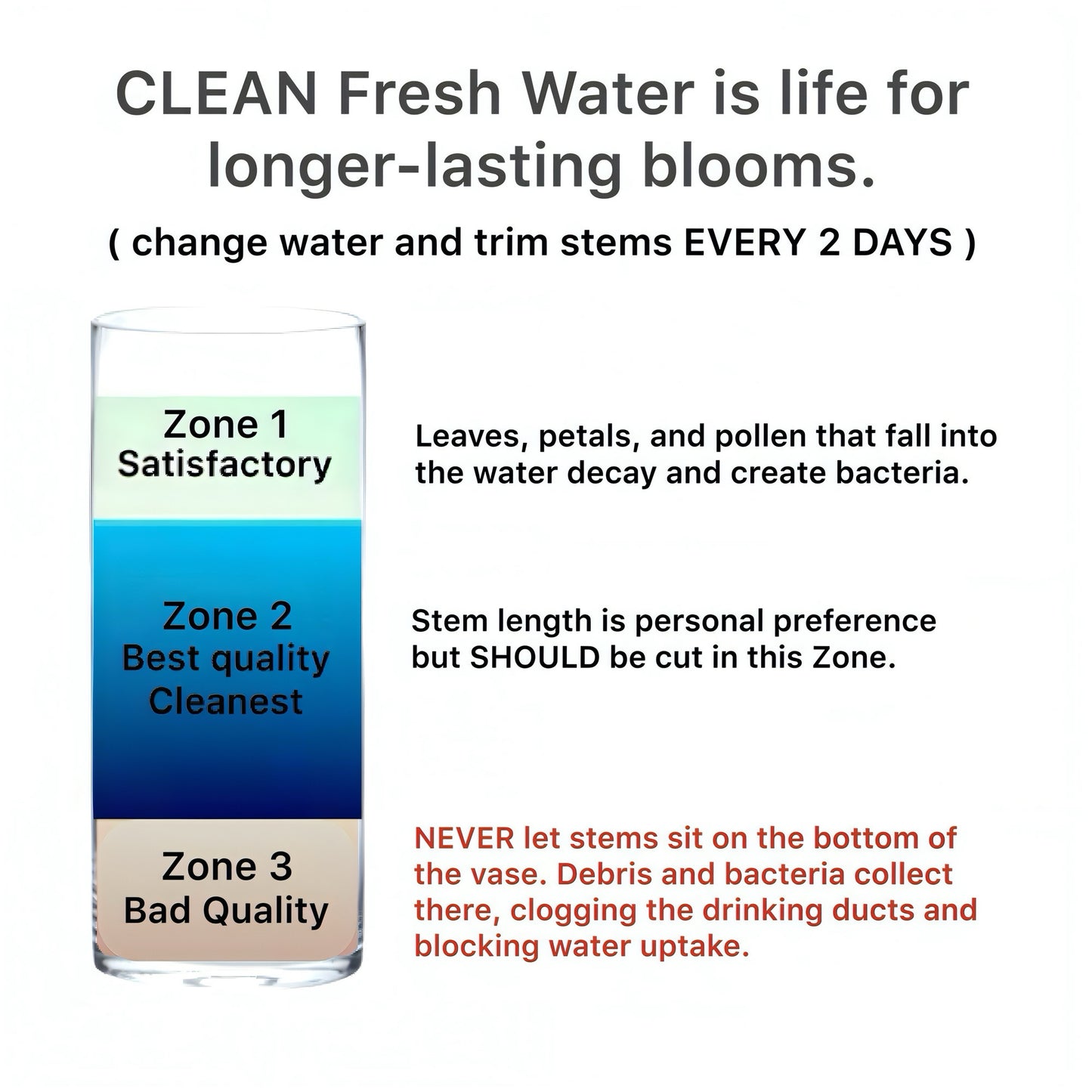 NUTRIENTS - FLOWER FOOD