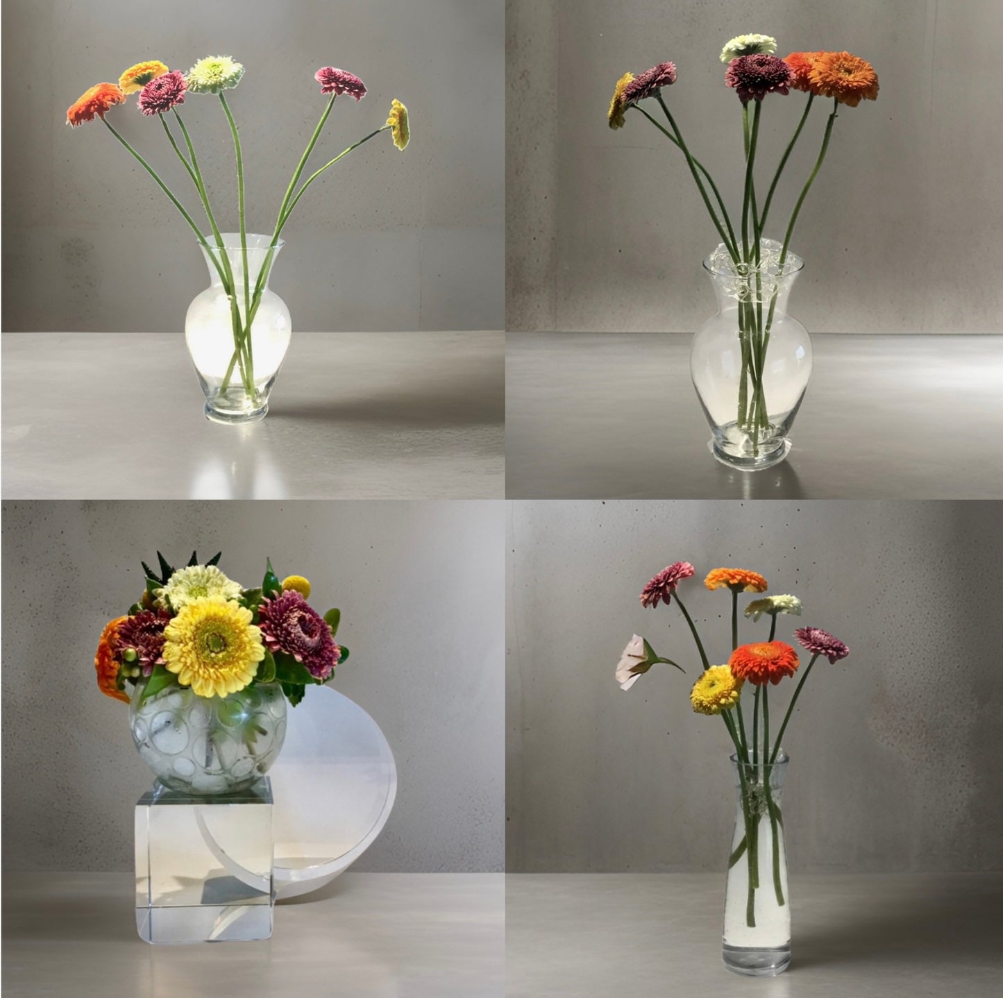 FloraGUPPY - 1  Pack