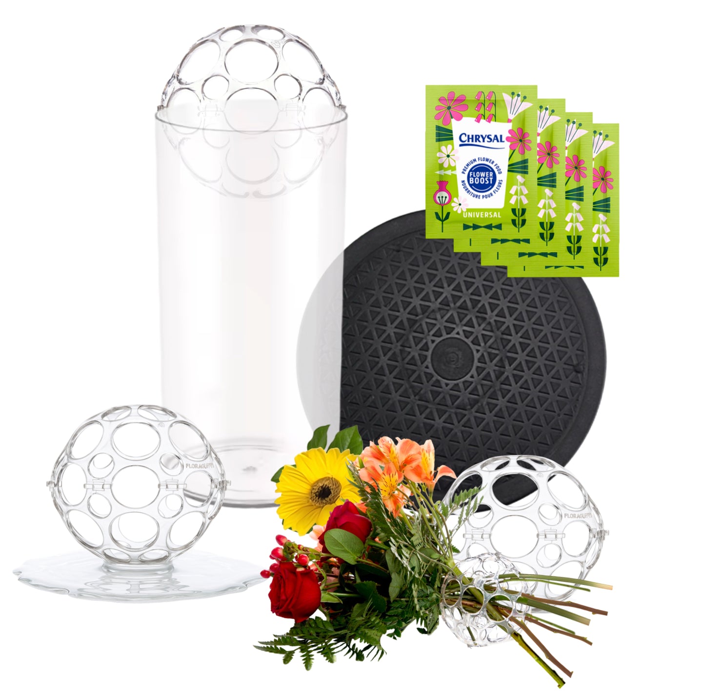 FloraGUPPY ESSENTIAL Beginners Kit